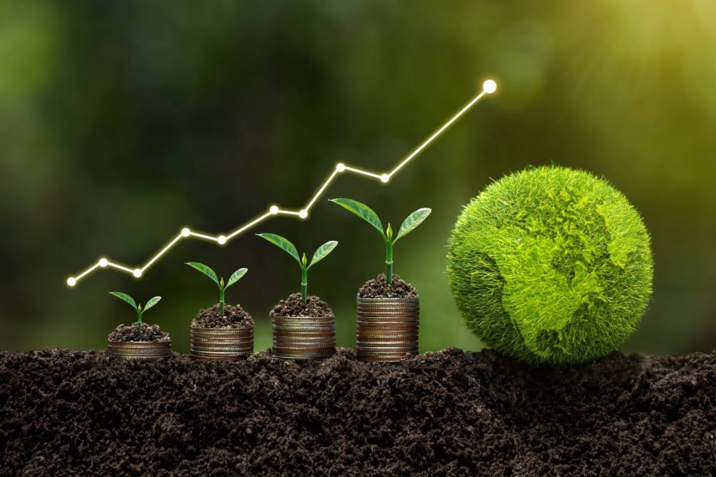 Spre o industrie mai verde. Explorăm inovații în materiale, reciclare și procese de fabricație etice pentru un impact redus asupra mediului